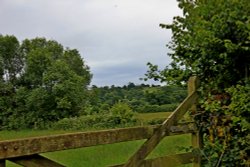 East Budleigh view Wallpaper