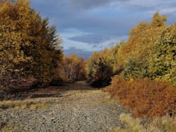 Disused Railtrack at Cudworth Wallpaper