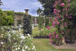 Hever Castle Rose Garden