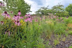 Diana Walk, Hever Castle Wallpaper