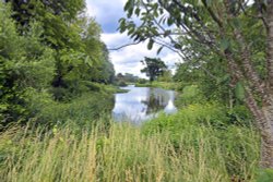 Lake Walk, Hever Castle Wallpaper