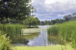 Lake Walk, Hever Castle Wallpaper