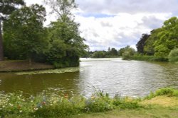 Lake Walk, Hever Castle Wallpaper