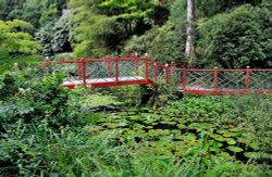 Japanese Bridge Portmerion Wallpaper