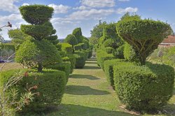 Mount Ephraim Gardens Wallpaper