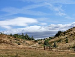 Rabbit Ings Country Park Wallpaper
