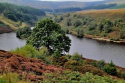 Ramsden Reservoir, Holmfirth Wallpaper