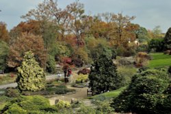 RHS Wisley Wallpaper