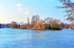 River Thames at Shepperton Wallpaper