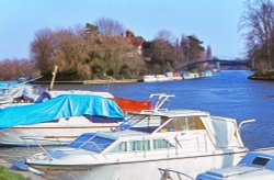 Boats moored on the Thames at Shepperton Wallpaper