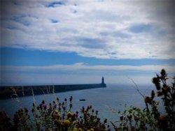 Morning walk in the beautiful North East Wallpaper
