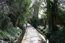 Parsonage Lane, East Hagbourne Wallpaper