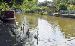 The Trent and Mersey Canal at Anderton Wallpaper