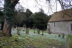Snowdrops and winter achonites at St Botolph's Church, Swyncombe
