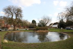 The village pond, Aldbourne Wallpaper
