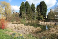 The village pond, Kirtlington Wallpaper