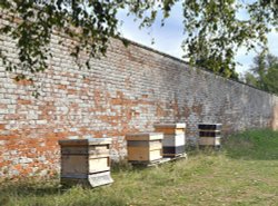 Bee hives at Belmont House Gardens Wallpaper