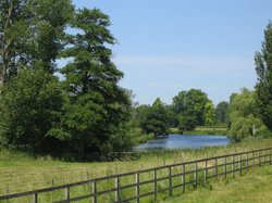 The lake at East Lockinge Wallpaper