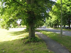 The Green, Steventon Wallpaper