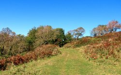 coast path Wallpaper