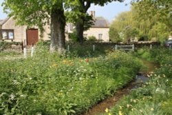 The Swine Brook in the centre of Swinbrook Wallpaper