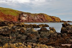 St Abbs Harbour Wallpaper