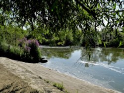 Ferrymoor Flash, Grimethorpe Wallpaper