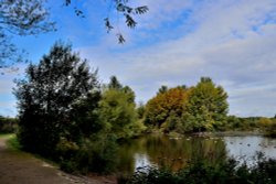 Ferrymoor Flash Grimethorpe Wallpaper