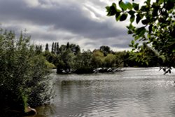 Ferrymoor Flash Grimethorpe Wallpaper