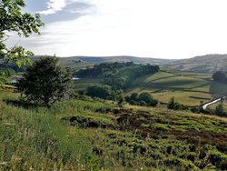 Haworth Landscape