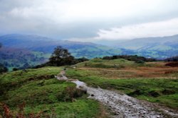Loughrigg Fell Ambleside Wallpaper