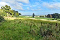Dumbleton Hall Estate Wallpaper