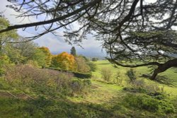 Dumbleton Hall Grounds Wallpaper
