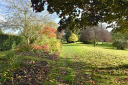 Dumbleton Hall Grounds Wallpaper