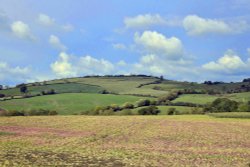 View near Gotherington Wallpaper