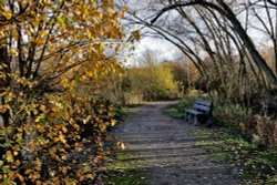 Ferrymoor Flash, Grimethorpe