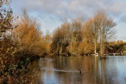 Ferrymoor Flash, Grimethorpe Wallpaper