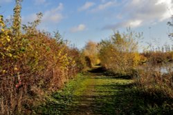Ferrymoor Flash Grimethorpe