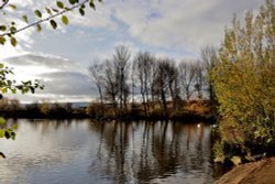 Ferrymoor Flash Grimethorpe Wallpaper