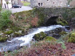 Rydal Hall Grounds Wallpaper