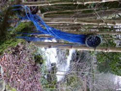 Rydal Hall Grounds Art installation Wallpaper