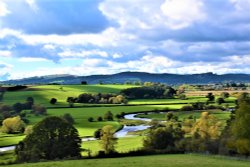 The River Teme near Leintwardine, Herefordshire.