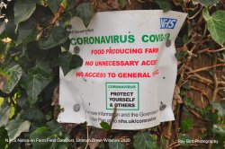 N.H.S Notice, Littleton Drew, Wiltshire 2020 Wallpaper