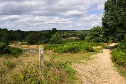 Chobham Common, Near the Victoria Monument Wallpaper