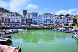 Dartmouth Harbour and Quayside Shops Wallpaper