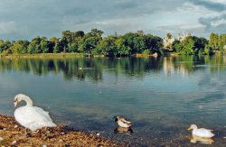 Beaulieu Palace House Grounds Wallpaper