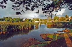 Beaulieu Palace House Grounds Wallpaper