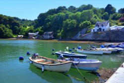 The Old Smuggler's House (Thatched) at Dittisham Wallpaper