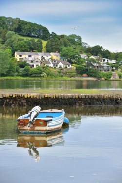 River Dart View at Stoke Gabriel
