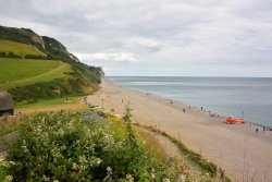 Wide View of Branscombe Beach Wallpaper
